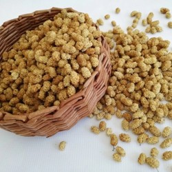 Dut Kurusu-1 Kg